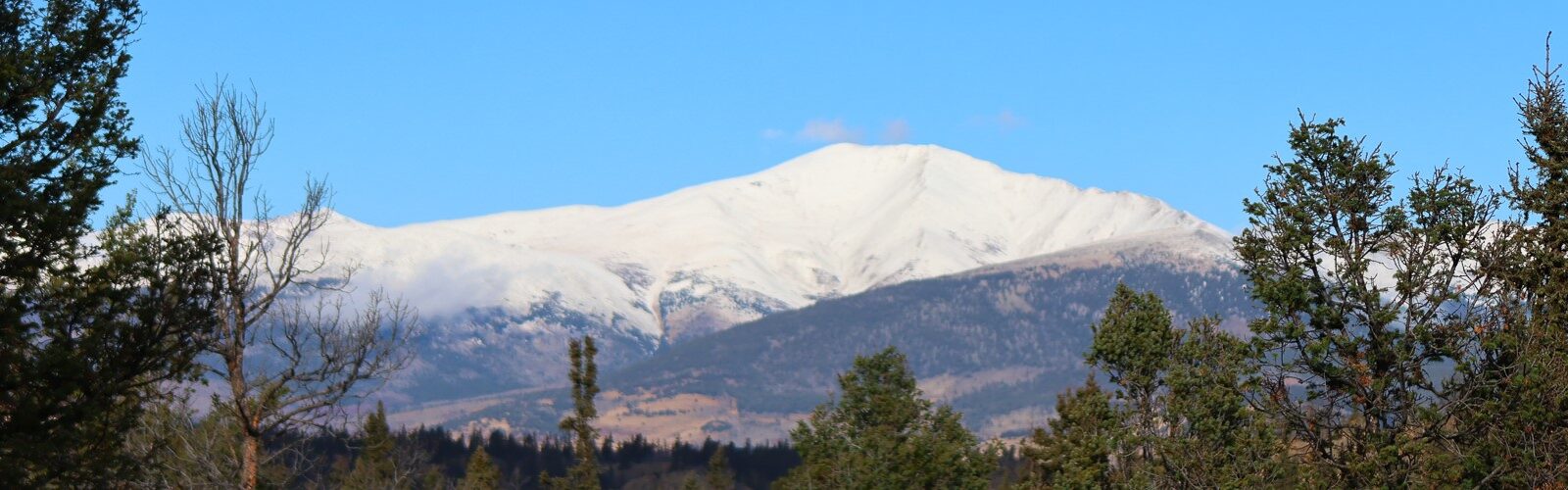 Image of snow covered Mount Silverheels